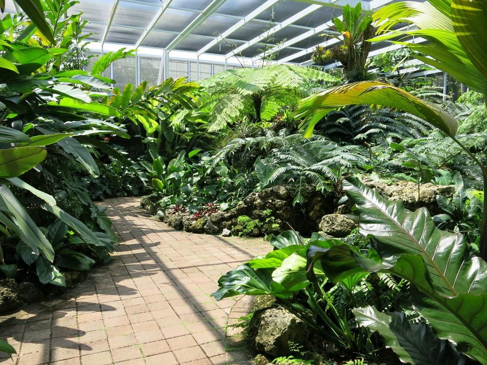 Botany department